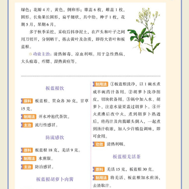 단일 허브 한방 영양 빠른 안내서: 중국 허브 건강 및 - Herbal Holistic Wellness 리뷰 및 가격