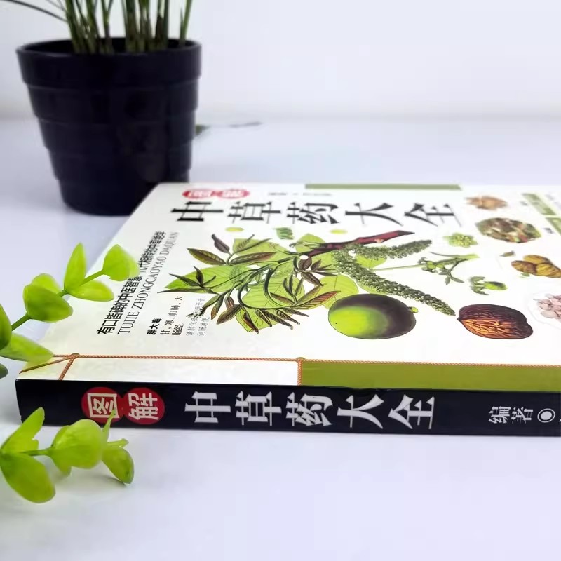 고대 약초 모음집 홀리스틱 웰니스 가이드북: 중국 한방 - Herbal Holistic Wellness 리뷰 및 가격