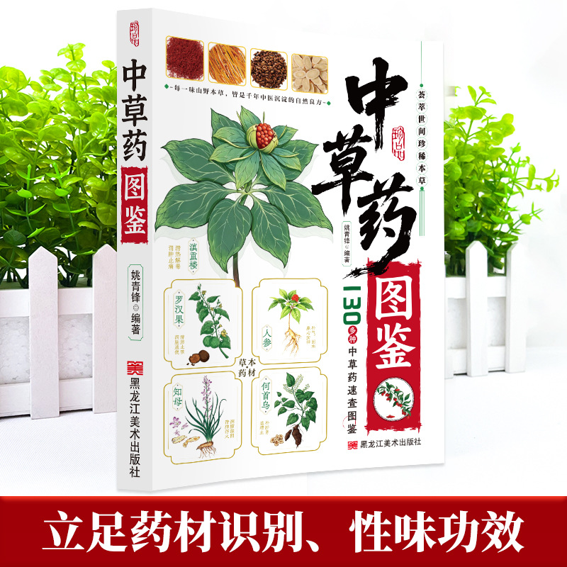 그림이 있는 중국 한약 안내서: 130가지 전통 한약재 - Herbal Holistic Wellness 리뷰 및 가격