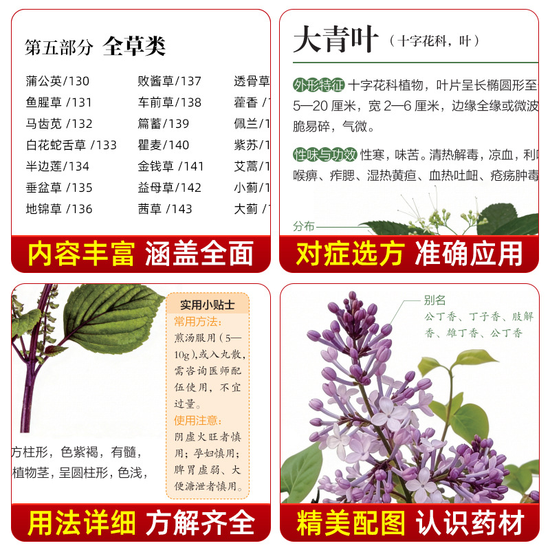 그림이 있는 중국 한약 안내서: 130가지 전통 한약재 - Herbal Holistic Wellness 리뷰 및 가격